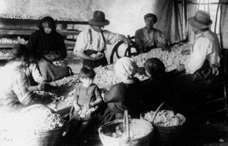 Orsago-storia banca della marca