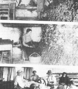 Orsago-Storia Banca della Marca