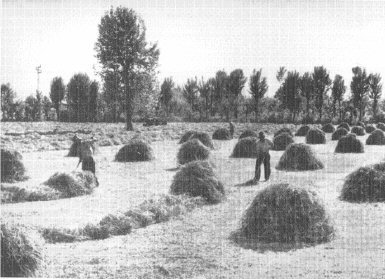 Orsago-Storia Banca della Marca