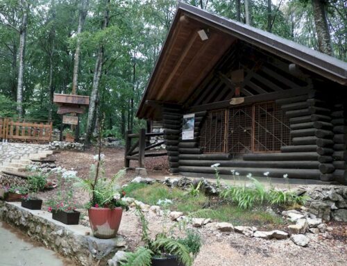 Percorso per raggiungere il Parco ex Carbonai