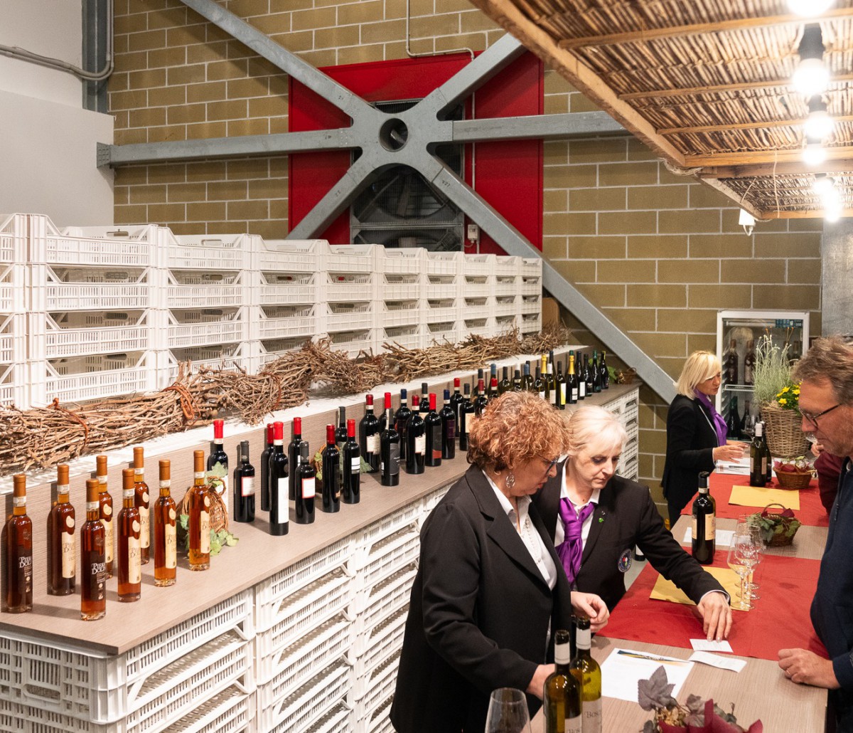 Mostra-del-Torchiato-e-dei-vini-dei-Colli-di-Conegliano