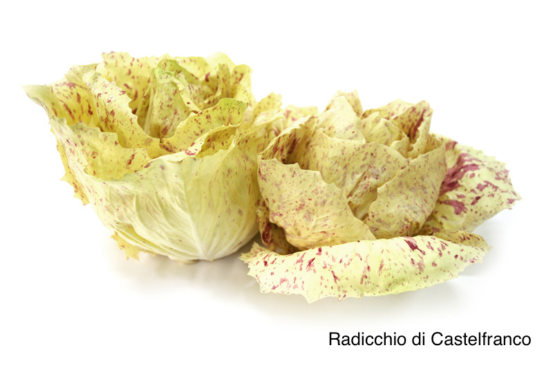Prodotti locali-Radicchio Rosso di Treviso IGP e Variegato di Castelfranco IGP