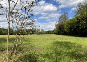 Moriago della Battaglia-palù