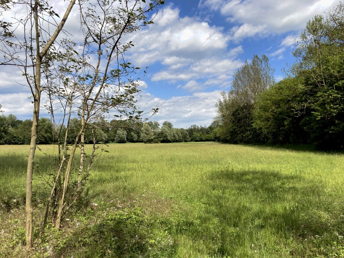 Moriago della Battaglia-palù