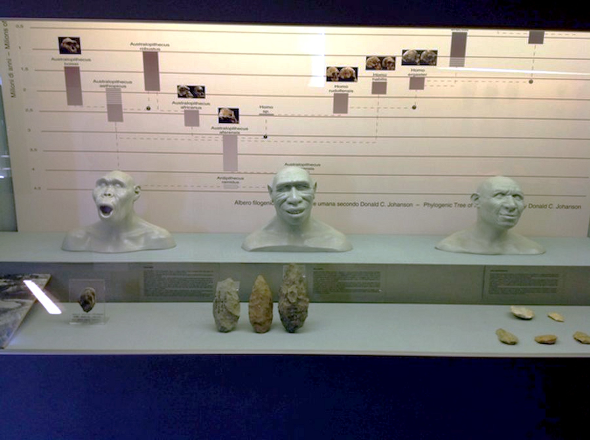Crocetta-del-Montello-Museo-Civico-la-terra-e-l-uomo-3