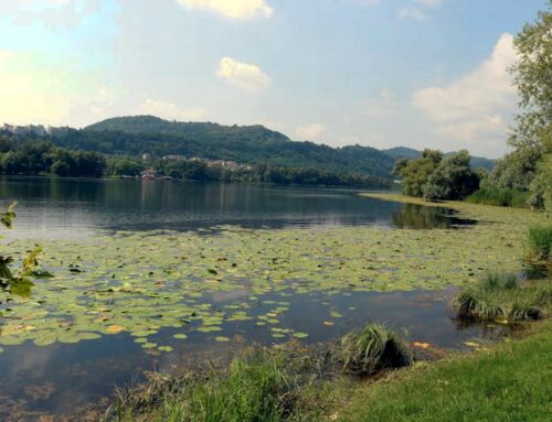 Passeggiata attorno al lago di Lago