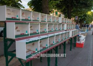 Vittorio-Veneto-Plurisecolare-Mostra-Mercato-degli-Uccelli
