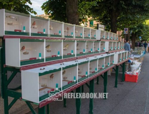 Plurisecolare Mostra Mercato degli uccelli