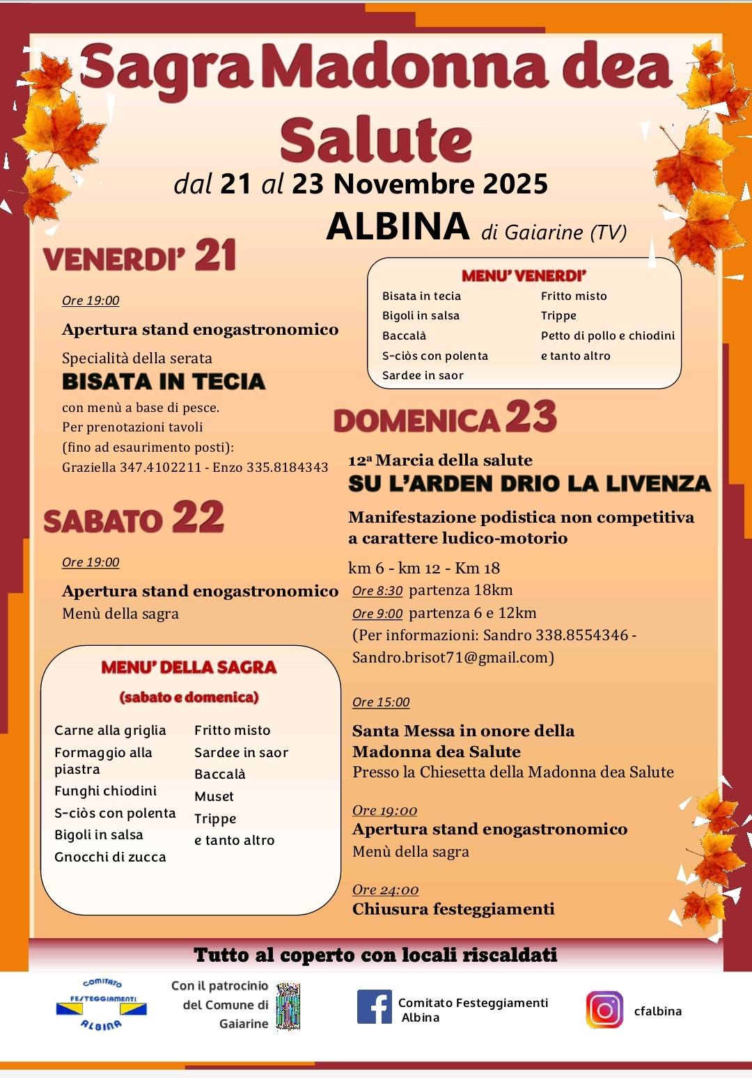 Sagra-Madonna-dea-Salute-2025