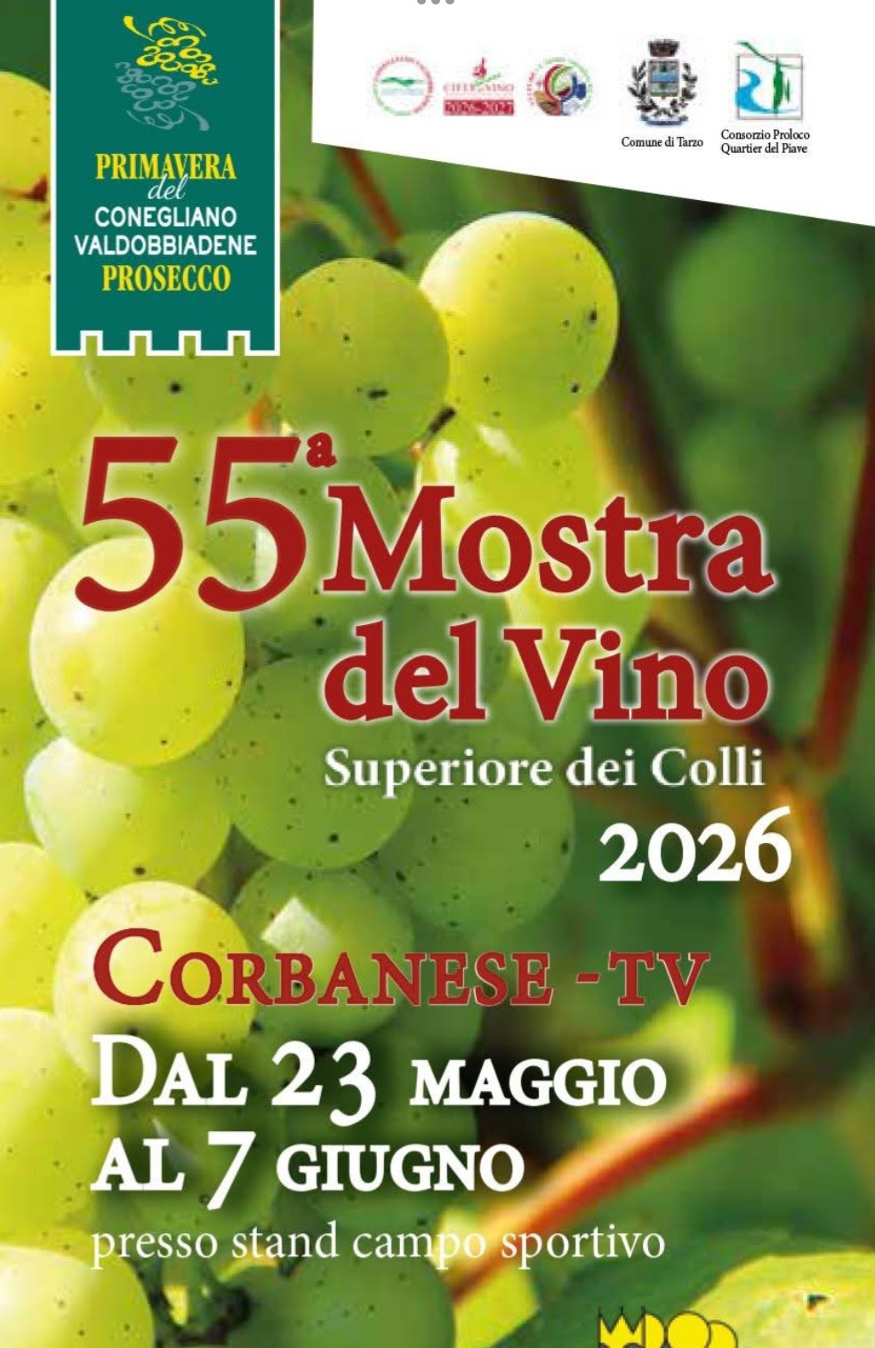 55a-Mostra-del-Vino-Superiore-dei-Colli