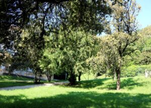 Passeggiata-al-Parco-Papadopoli