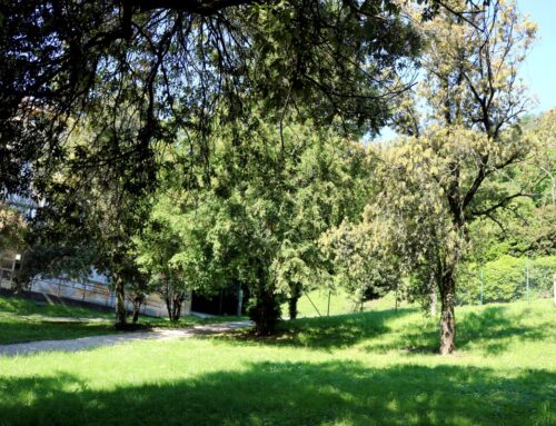 Passeggiata al Parco Papadopoli